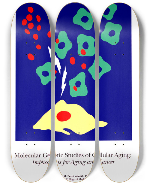 Triptych art skateboard deck of National Institutes Of Health Molecular Genetic Studies Of Cellular Aging by National Institutes Of Health (1887)