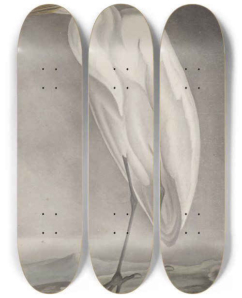 Triptych art skateboard deck of Ren De Rabi Natural History Of Saint Domingue Pl056 by Ren de Rabi (1700-1785)
