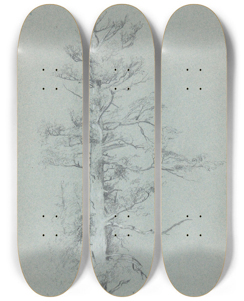 Triptych art skateboard deck of Jervis Mcentee Treestudy by Jervis Mcentee (1828-1891)