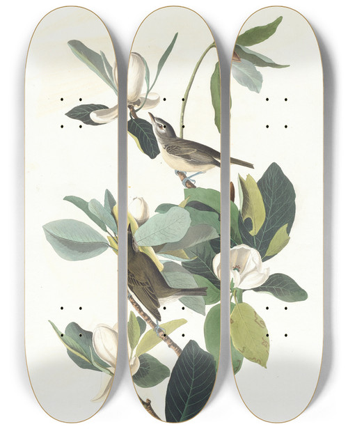 Triptych art skateboard deck of John James Audubon Warbling Flycatcher by John James Audubon (1785-1851)