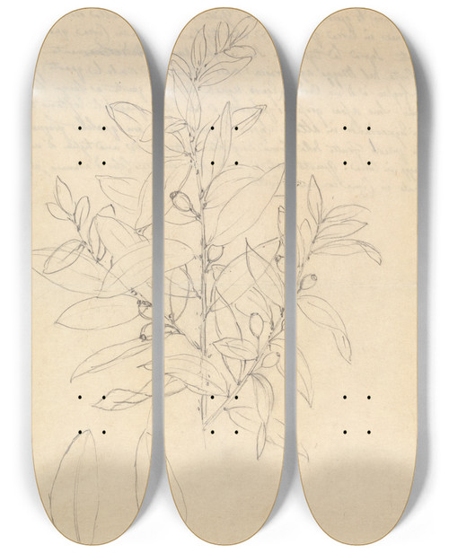 Triptych art skateboard deck of Luigi Balugani Carratt Osyris Lanceolata by Luigi Balugani (1737-1770)