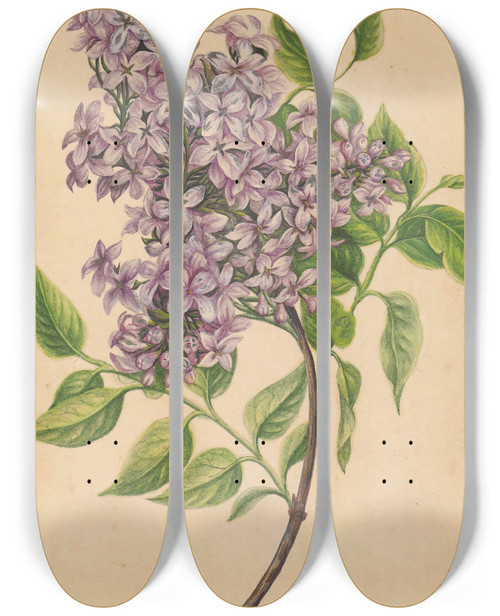 Triptych art skateboard deck of Henryka Beyer A Twig Of Lilac by Henryka Beyer (1782-1855)