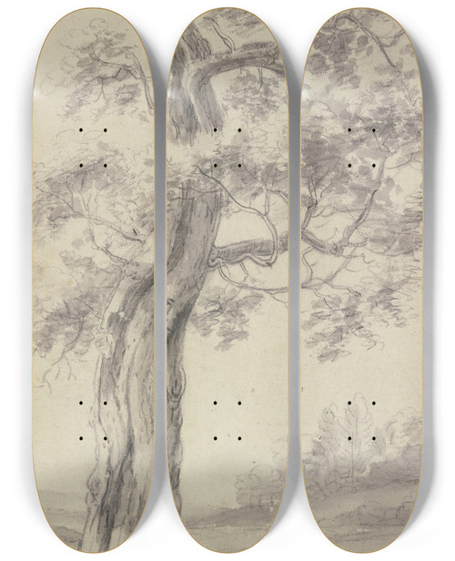 Triptych art skateboard deck of Antonie Waterloo Eichbaum Mit Zerrissener Rinde by Antonie Waterloo (1609-1690)