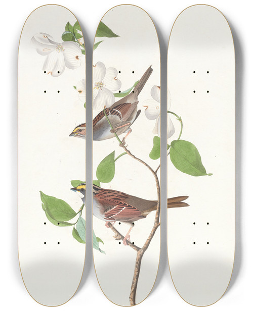 Triptych art skateboard deck of John James Audubon White Throated Sparrow by John James Audubon (1785-1851)