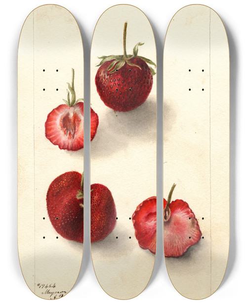 Triptych art skateboard deck of Deborah Griscom Passmore Fragaria Maynor_1 by Deborah Griscom Passmore (1840-1911)
