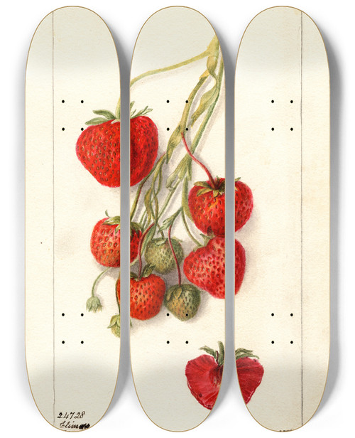Triptych art skateboard deck of Deborah Griscom Passmore Fragaria Climan by Deborah Griscom Passmore (1840-1911)