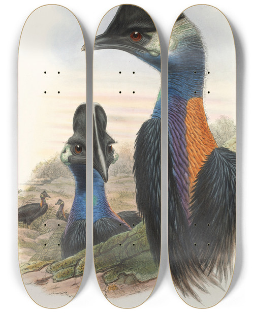 Triptych art skateboard deck of John Gould The Birds Of New Guinea And The Adjacent Papuan Islands Pl75 by John Gould (1804-1881)