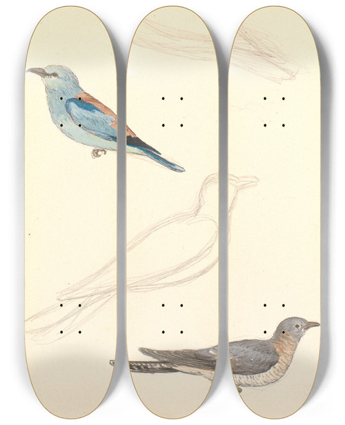 Triptych art skateboard deck of P C Skovgaard To Studier Af En Ellekrage Og To Studier Af En Gg by P C Skovgaard (1817-1875)