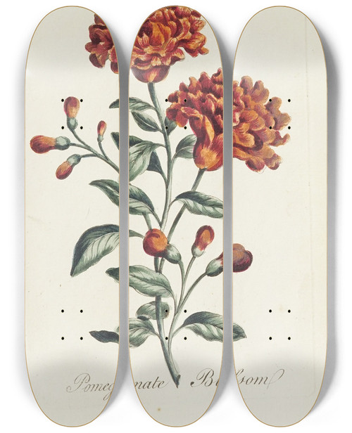 Triptych art skateboard deck of Carington Bowles Pomegranate Blossom by Carington Bowles (1724-1793)