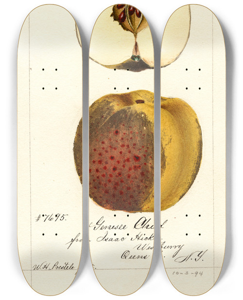 Triptych art skateboard deck of William Henry Prestele Malus Domestica Genesee Chief by William Henry Prestele (1838-1895)