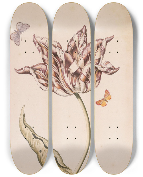 Triptych art skateboard deck of Dutch School A Purple And White Tulip With Two Moths by Dutch School