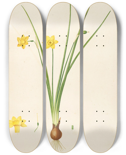 Triptych art skateboard deck of Pierre Joseph Redout Les Liliacees Pl08 by Pierre Joseph Redoute (1759-1840)