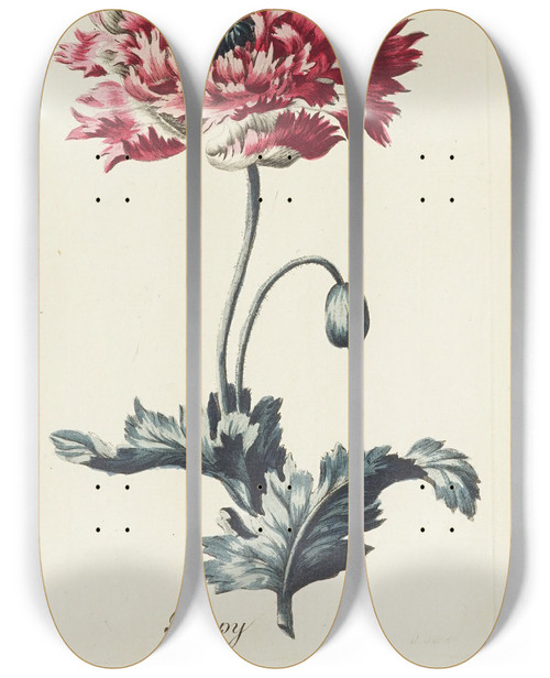 Triptych art skateboard deck of Carington Bowles Poppy by Carington Bowles (1724-1793)