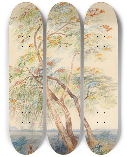 Triptych art skateboard deck of Edward Lear Tree Study Trichinopoly India by Edward Lear (1812-1888)