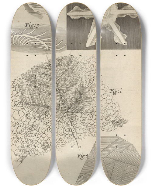 Triptych art skateboard deck of Robert Hooke Microscopic View Of Several Kinds Of Frozen Figures by Robert Hooke (1635-1703)