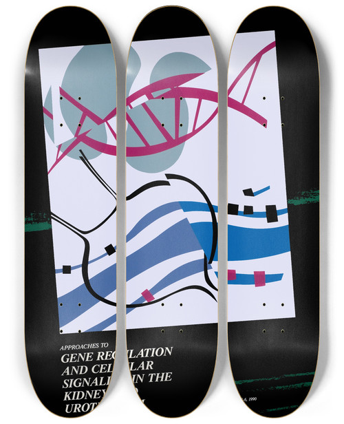 Triptych art skateboard deck of National Institutes Of Health Approaches To Gene Regulation Cellular Signaling In The Kidney Urothelium by National Institutes Of Health (1887)