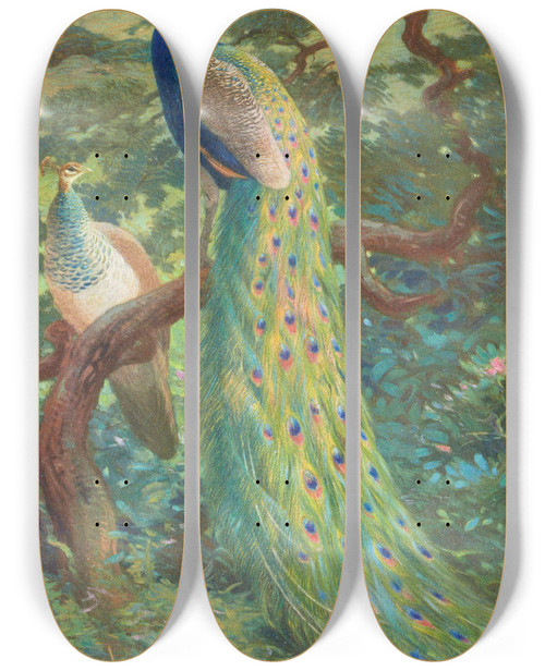 Triptych art skateboard deck of Charles Robert Knight Indian Peafowl by Charles Robert Knight (1874-1953)
