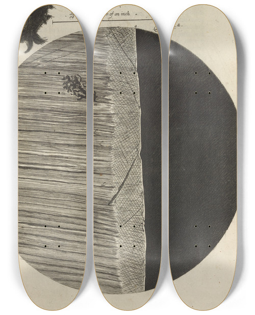 Triptych art skateboard deck of Robert Hooke Microscopic View Of Needle And Razor by Robert Hooke (1635-1703)