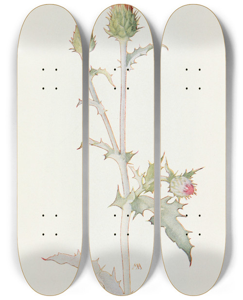 Triptych art skateboard deck of Margaret Armstrong Arizona Thistle by Margaret Armstrong (1867-1944)