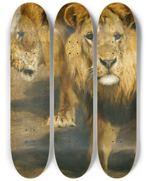 Triptych art skateboard deck of Wilhelm Kuhnert Lions_2 by Wilhelm Kuhnert (1865-1926)