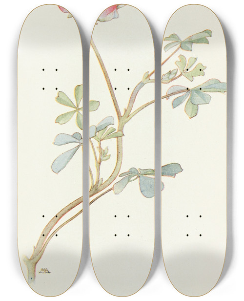 Triptych art skateboard deck of Margaret Armstrong Bicolored Lupine by Margaret Armstrong (1867-1944)