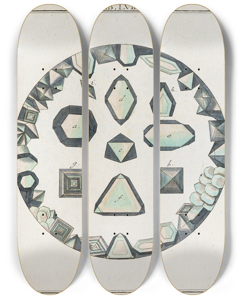 Triptych art skateboard deck of Martin Frobenius Ledermuller Amusement Microscopique Tant Pour Lesprit Que Pour Les Yeux Pl057 by Martin Frobenius Ledermu%Cc%88Ller (1719-1769)