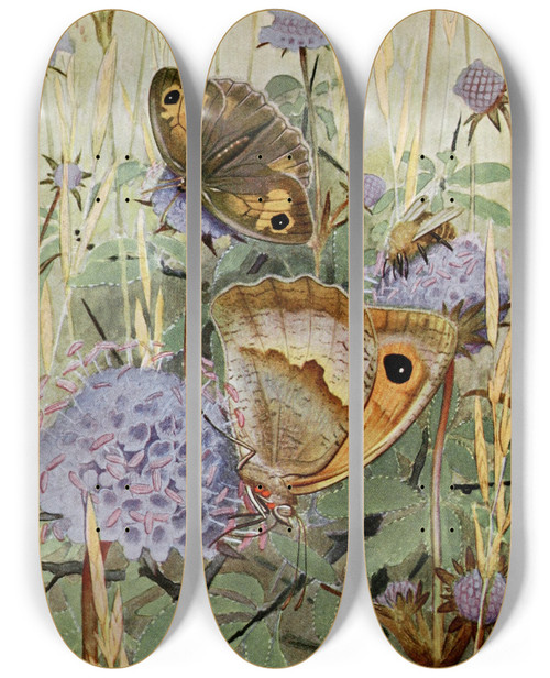 Triptych art skateboard deck of Paulandre Robert Le Myrtil by Paul-Andre Robert (1901-1977)