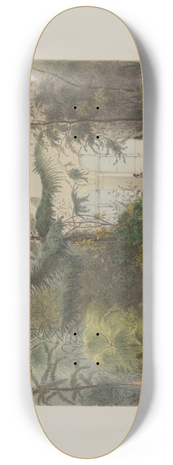 Franz Antoine - Der Wintergarten in der kaiserlichen kniglichen Hofburg zu Wien Pl.02 8.25 inch art skate deck