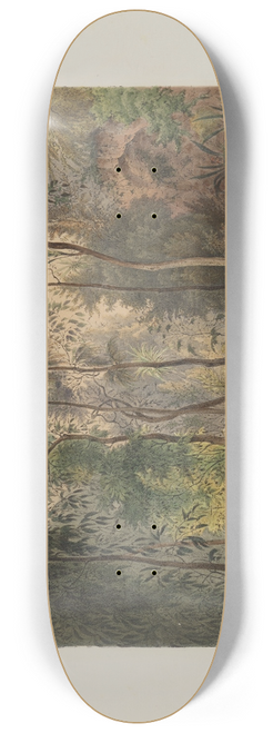 Franz Antoine - Der Wintergarten in der kaiserlichen kniglichen Hofburg zu Wien Pl.04 8.25 inch art skate deck