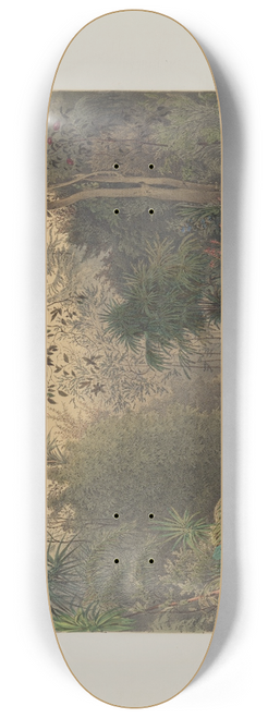Franz Antoine - Der Wintergarten in der kaiserlichen kniglichen Hofburg zu Wien Pl.06 8.25 inch art skate deck