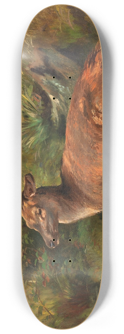 Franz Xaver von Pausinger - Resting Hind 8.25 inch art skate deck