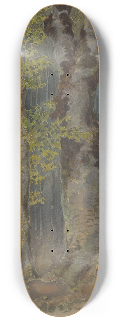 Friedrich Carl von Scheidlin - Study of a Trunk Branching Out 8.25 inch art skate deck