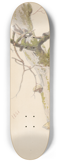 Friedrich Carl von Scheidlin - Study of Tree Trunk with Branches and Mushrooms 8.25 inch art skate deck