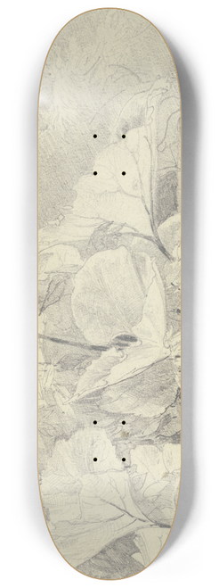 Fritz Bamberger - Coltsfoot 8.25 inch art skate deck
