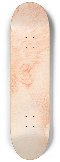 Giles Hussey - Head of a Man with Stubble Beard, Facing Right 8.25 inch art skate deck