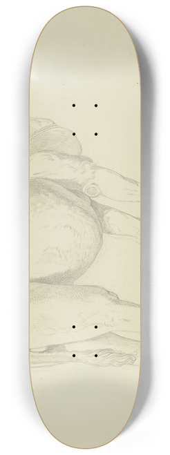 Gustav Heinrich Naecke - One-humped camel to the right 8.25 inch art skate deck