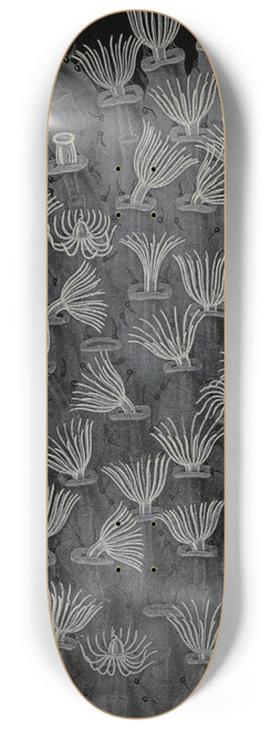 Alfred Frdol - Animaux-mousse 8.25 inch art skate deck