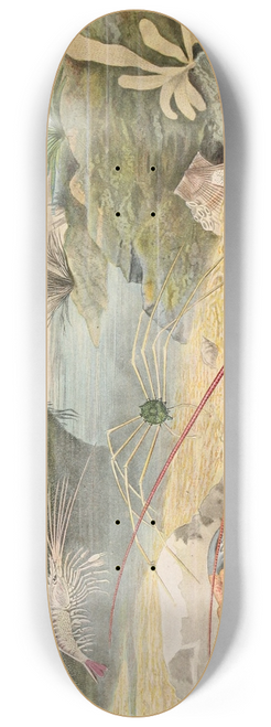 Alfred Frdol - Crustacs 8.25 inch art skate deck