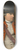 Henry Benbridge - Charles Cotesworth Pinckney 8.25 inch art skate deck