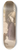 Alfredo Mller - Interior, Little Girl with Cat (La Petite fille au chat) 8.25 inch art skate deck