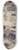 Howard Chandler Christy - The Photo Shoot 8.25 inch art skate deck