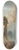 Hubert Robert - The Portico of a Country Mansion 8.25 inch art skate deck