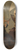 Ignacy Gierdziejewski - Bakfark, lutenist of Queen Bona 8.25 inch art skate deck