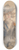 Isaac Israls - Portret van een vrouw 8.25 inch art skate deck
