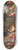 Jacob Cornelisz. van Oostsanen - Saul and the Witch of Endor 8.25 inch art skate deck