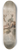 Jacob de Wit - Bacchantes and putti amongst the clouds 8.25 inch art skate deck