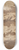 Jacob Jordaens - Christ Healing the Paralytic 8.25 inch art skate deck