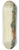Jacob Pieter Mercier - Gezicht op het eiland Kuiper in de baai van Batavia 8.25 inch art skate deck