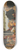 Jacopo del Sellaio - Scenes from the Story of the Argonauts 8.25 inch art skate deck