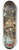 Jacopo del Sellaio - The Penitent St Jerome 8.25 inch art skate deck